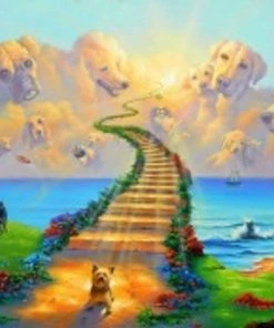 Diamond Art Collection Dreamy Dogs | Full Drill | FD015 | Canvas Size 50 X 61