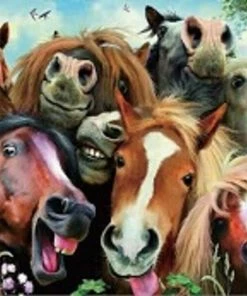 Diamond Art Collection Funny Horses | PD004 | Canvas Size 50 X 61