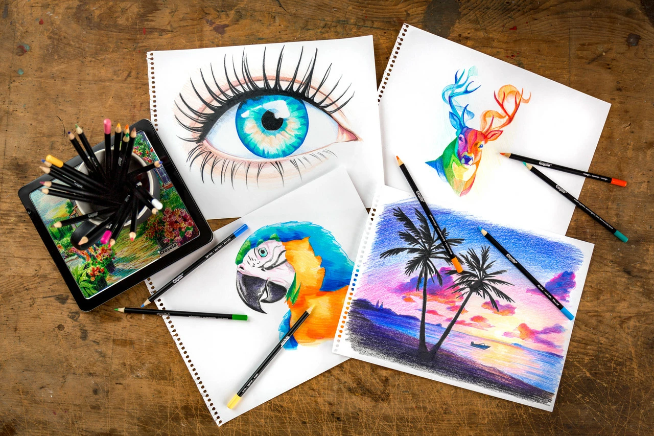 Crayola Signature Blend & Shade Colored Pencils With Tin, 24 Count - Image 5